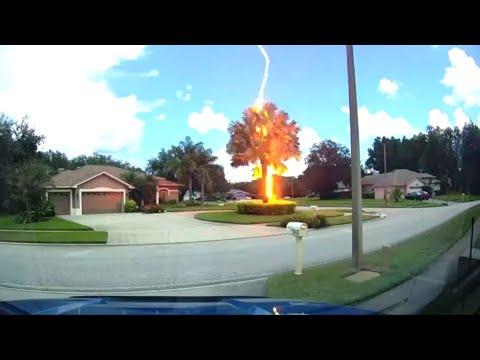 Lightning Strikes Tree On Bright Sunny Day Video. Your Daily Dose Of Internet