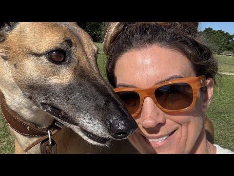 I adopted a retired racing dog. Here's what happened. #Video