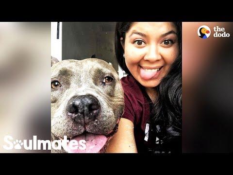 This Pittie Makes His Mom's World Go Round | The Dodo Soulmates