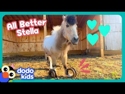 Whoa! This Pony's Hooves Are WAY Too Long! | Dodo Kids #Video