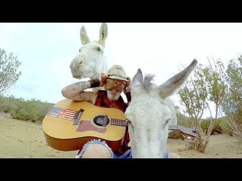 Hazel the donkey wants to use her head to play guitar to a classic hit song #Video