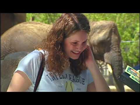 Candid Camera Classic: You Win...an Elephant! #Video