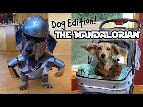The Mandalorian & Baby Yoda - DOG EDITION (Homemade Costume)