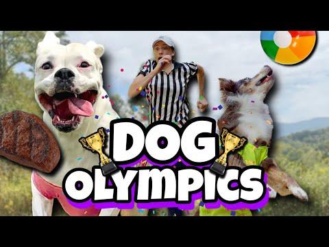 FUNNY DOG OLYMPICS! (Cute and Hilarious Dog Challenge Video)