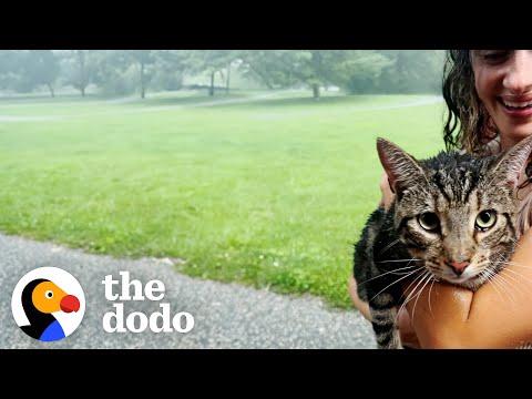 Couple's First House Comes With A Cat #Video