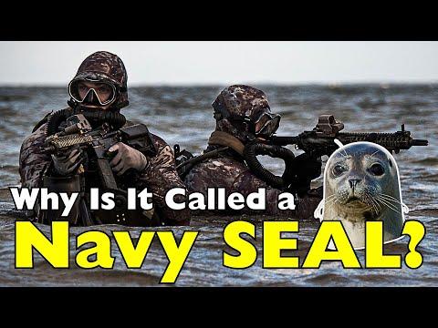 Why Are Navy SEALs Called 'SEALs'? #Video