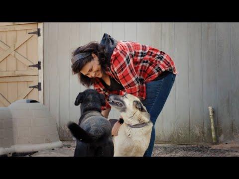 A Glimmer Of Hope, A Mutual Rescue Moment #Video