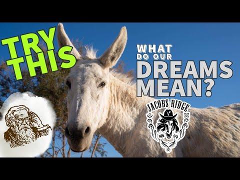 What do your dreams mean? TRY THIS. #Video