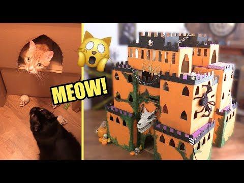 SPOOKTACULAR Halloween Cat Castle! - Cole & Marmalade