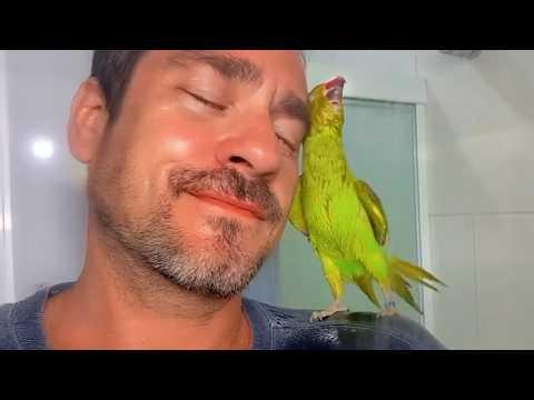 When Talking Parrots Forget You're Human