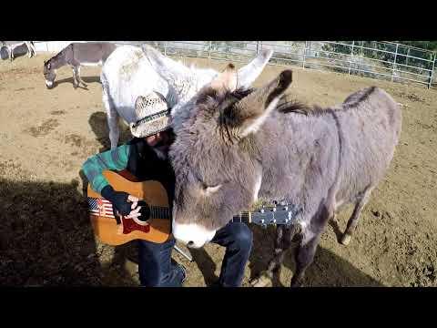 I Love Her Donkey Songs #Video