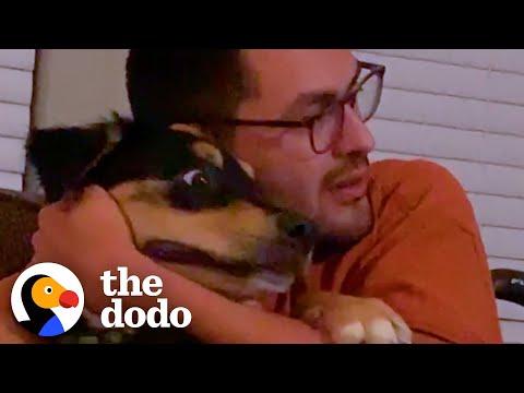 Guy Plays Guitar To His Sick Puppy Until He Gets Better #Video