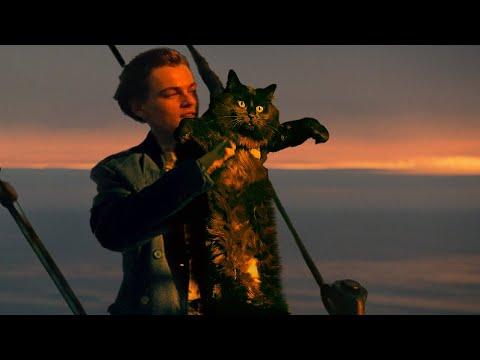 Titanic with a Cat #Video
