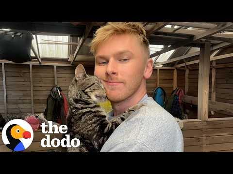 13 Year Old Cat Spends Her Days In A Baby Sling #Video