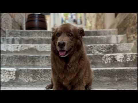 Stick Figure – Tribute to Cocoa #Video