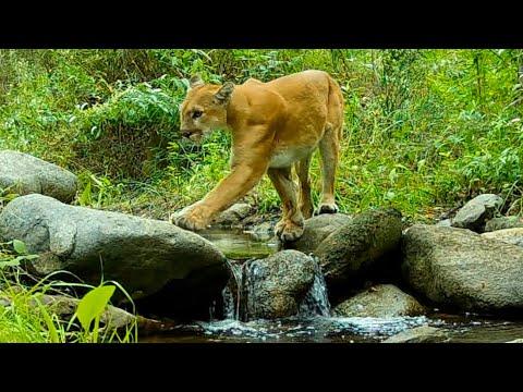 On The Rocks In The Angeles National Forest: A Behind The Scenes Look #Video