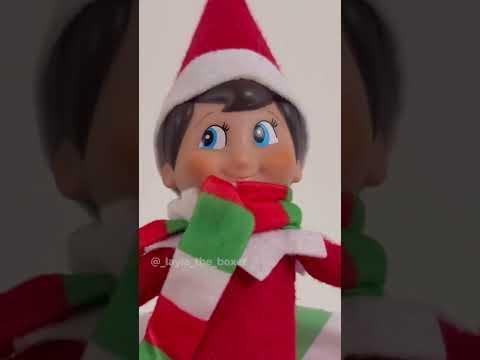 This elf is indestructible! - Layla The Boxer #Video