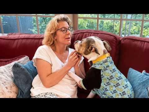 She Didn’t Want a Dog — Until This Pit Bull Became Her Grandson #Video