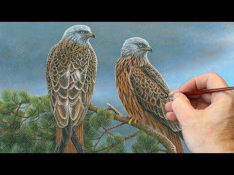 A Painting Inspired by Red Kites | Wildlife Art | Robert E Fuller #Video