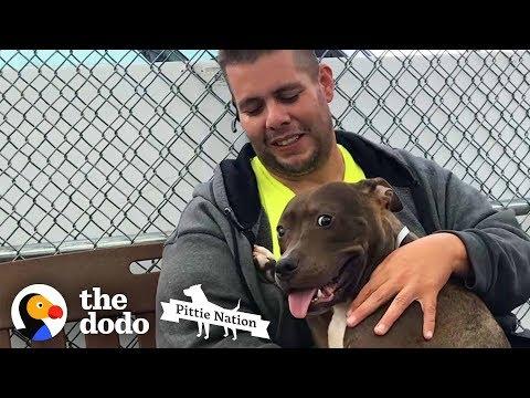 Guy Drives 2,800 Miles To Rescue A Pit Bull | The Dodo Pittie Nation
