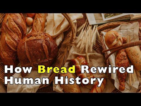 Why Bread Is More Than Just Food—It’s Human History #Video