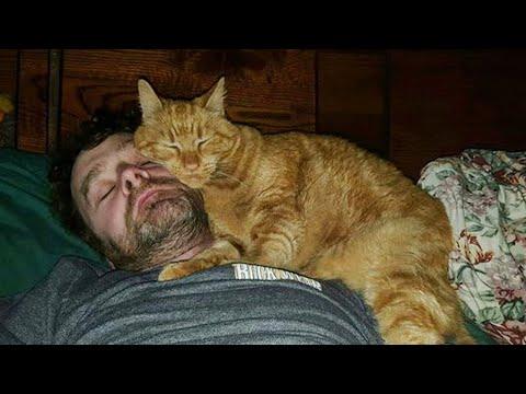 When someone says he didn't want a cat in his life #Video