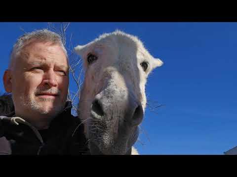 This donkey is a perfectionist #Video