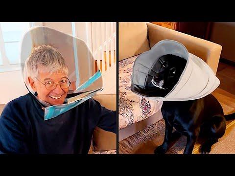 He Didn't Find This Funny | YOUR Daily Dose of Pets #Video