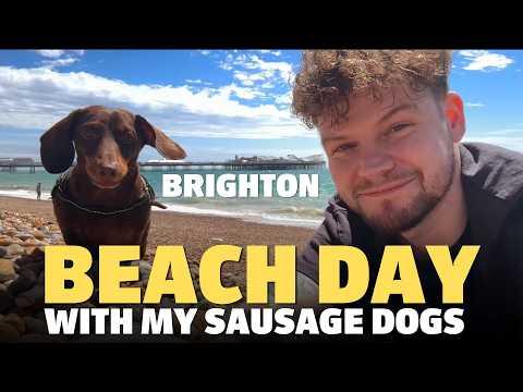 Exploring Brighton With Two Dachshunds #Video