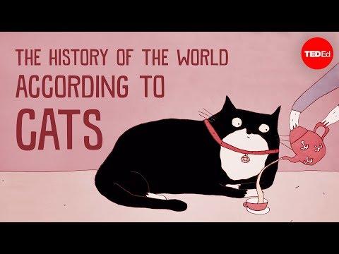 The history of the world according to cats video - Eva-Maria Geigl