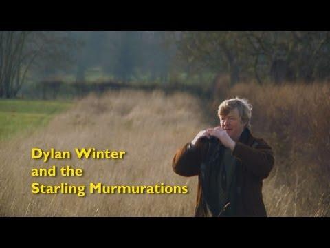 Dylan Winter And The Starling Murmurations