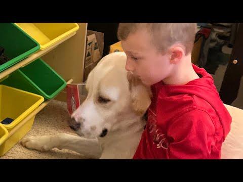 Special needs rescue dog is so sweet to his family #Video