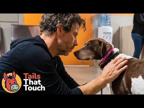Man Reunited With His Dog After 12 Years #Video