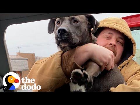 Husband Rescues Pittie Abandoned In Parking Lot #Video