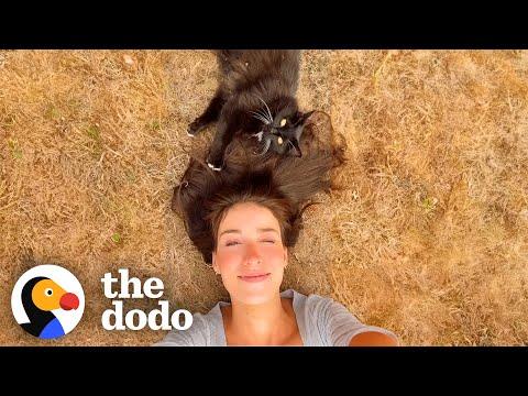 Feral Cat Takes 3 Years To Trust This Woman! #Video