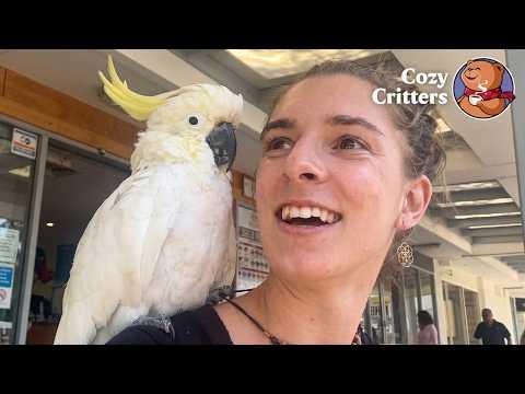 Her Boyfriend Died — And She Inherited a 36-Year-Old Bird Obsessed with Her #Video