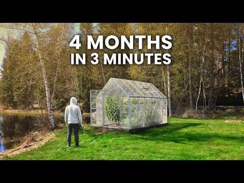I Filmed My Greenhouse For 4 Months │ Time-lapse #Video
