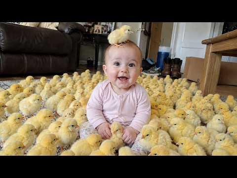 When Birds Make Life 100x Funnier #Video