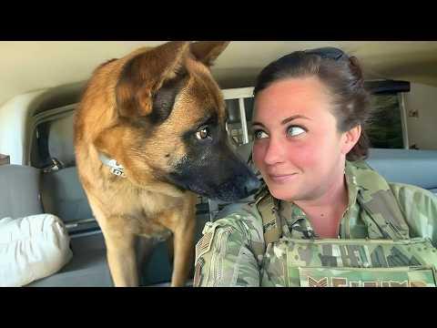 When God Sends You a Comedian Police Dog #Video