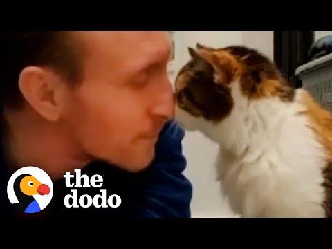 Guy And Cat Have Been Inseparable For 23 Years #Video