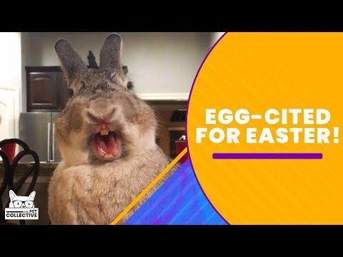 Get EGGcited For Easter!!!
