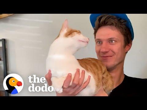 Cat Stops At Nothing To Be Around His Mom's Boyfriend #Video