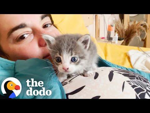 Woman Finds A TINY Kitten In Her Hostel While On Vacation #Video