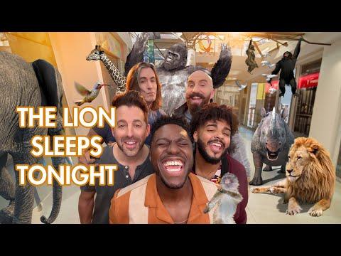 The Lion Sleeps Tonight - VoicePlay ft J.None (acapella) #Video