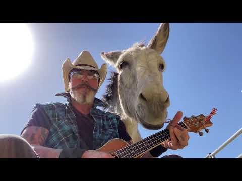 Famous Donkey Loves Margaretaville Wait for It #Video