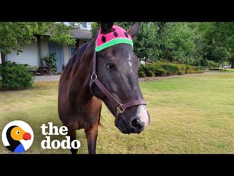 Horse Saves His Mom's Life When She Falls Off Of Him #Video