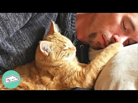 Rescue Blind Cat Clings Onto His Humans #Video