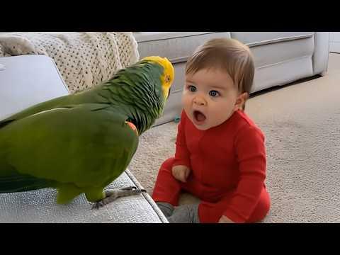 Funniest Argument Ever Between a Baby and a Talking Parrot! #Video