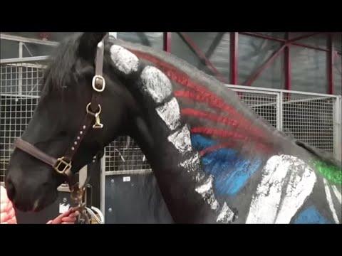 A painted Friesian horse. Where are the bones and muscles? This looks really beautiful!