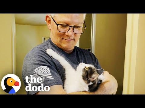 Men Who Love Cats  #Video